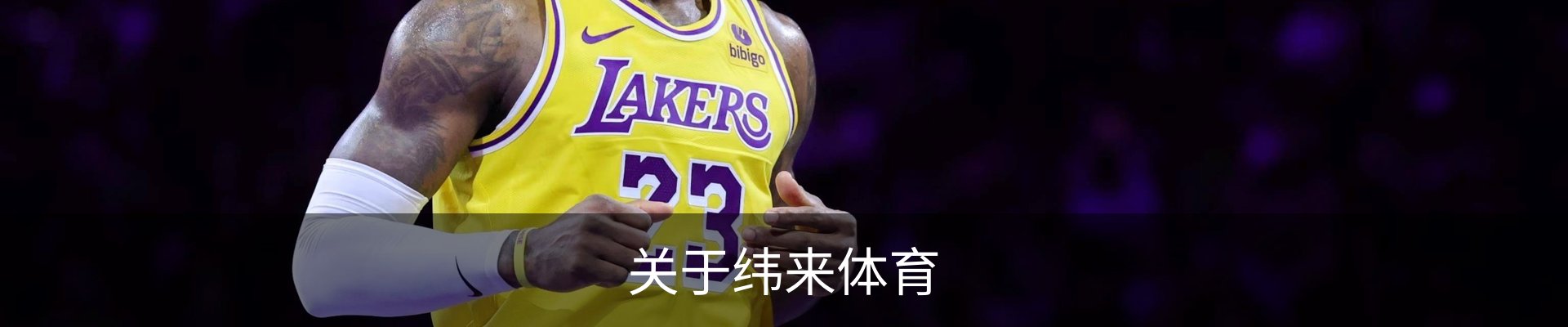 关于纬来体育